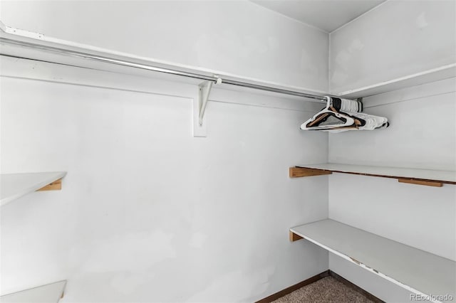 675 Straight Creek Dr Unit 301, Dillon, CO 80435 - walk in closet with carpet flooring