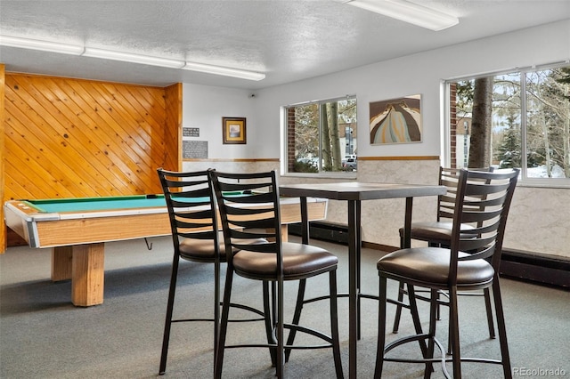 675 Straight Creek Dr Unit 301, Dillon, CO 80435 - bar featuring plenty of natural light, wooden walls, a textured ceiling, a wainscoted wall, and carpet floors