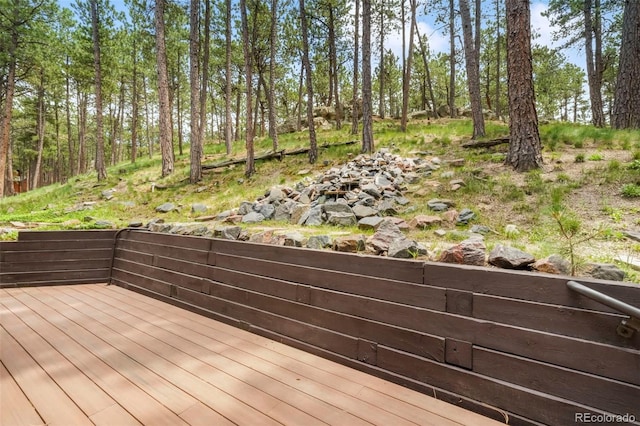 17365 Caribou Dr, Monument, CO 80132 - photo 42