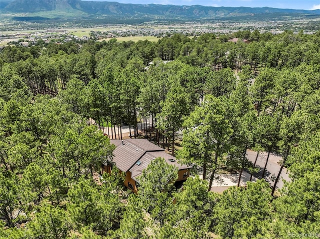 17365 Caribou Dr, Monument, CO 80132 - photo 46