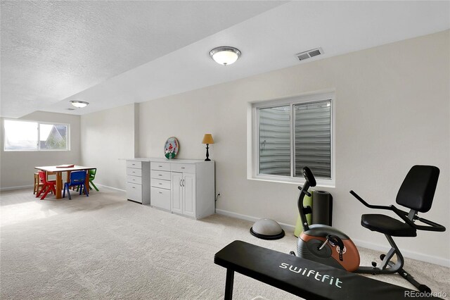2659 S Halifax St, Aurora, CO 80013 - workout area featuring carpet and a textured ceiling
