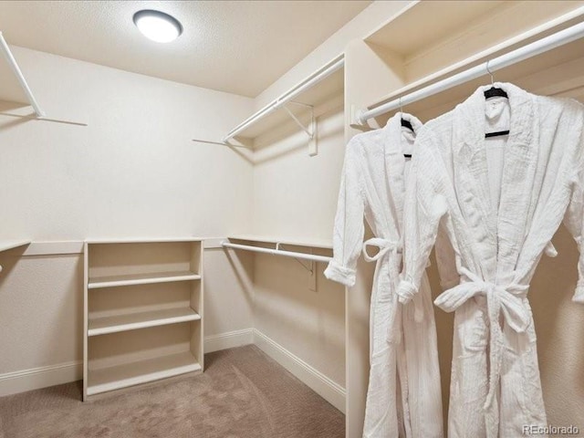 spacious closet with carpet flooring