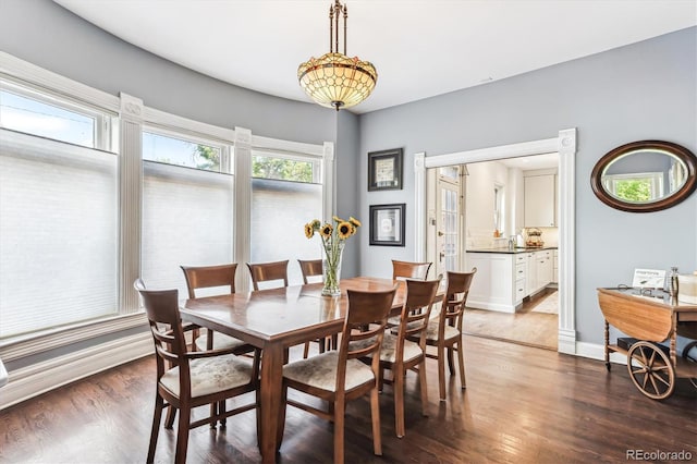 dining room with dark wood-type flooring