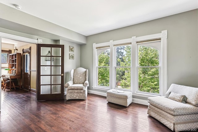 living area with dark wood-type flooring