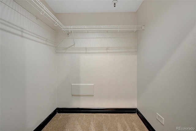 spacious closet with carpet floors