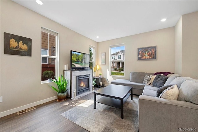 living room with wood-type flooring