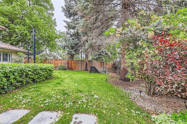 2 Elm St, Denver, CO 80220 - view of yard