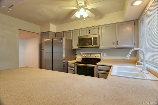 10320 E Jewell Ave Unit 63, Aurora, CO 80247 - kitchen featuring appliances with stainless steel finishes, a sink, light countertops, a ceiling fan, and gray cabinetry