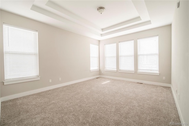 spare room featuring baseboards, carpet, and a raised ceiling