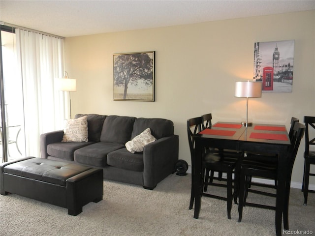 living room featuring carpet floors