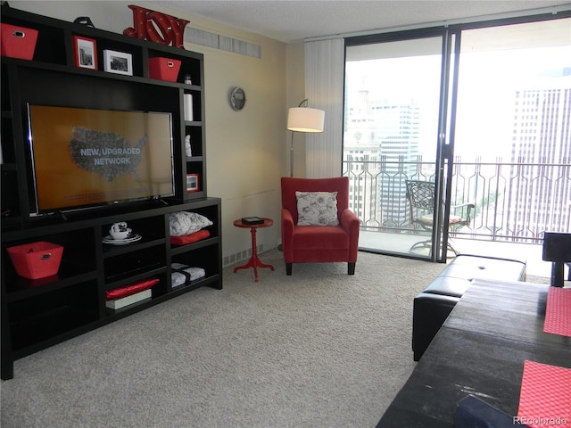 view of carpeted living room