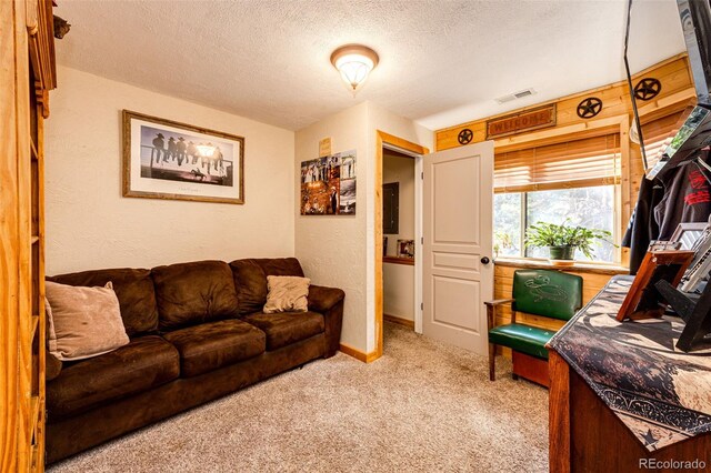 carpeted living room with a textured ceiling