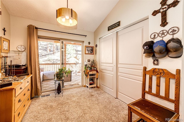 sitting room with vaulted ceiling, light carpet, and a textured ceiling