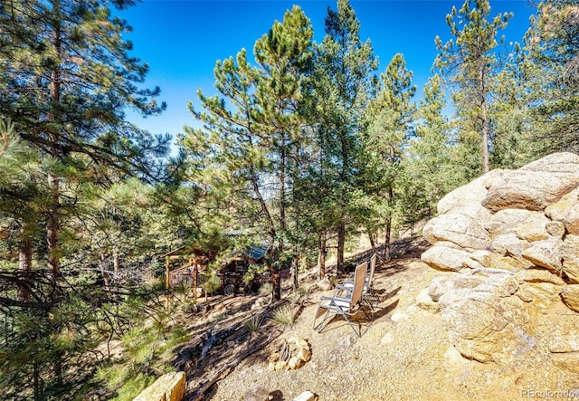 view of local wilderness