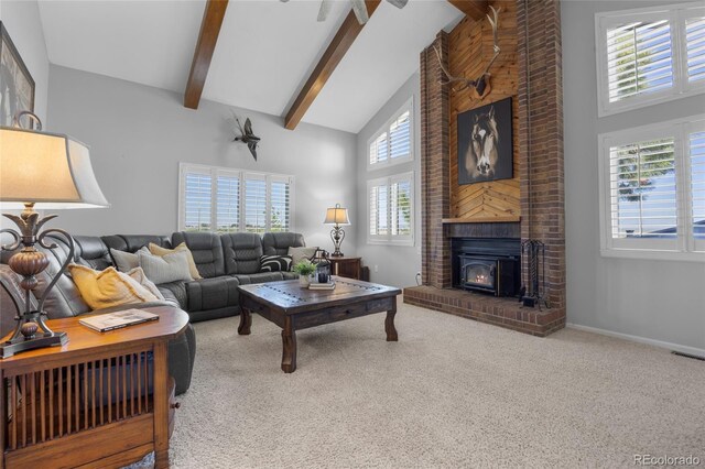 9025 Rocky Mountain Ln, Parker, CO 80138 - photo 20