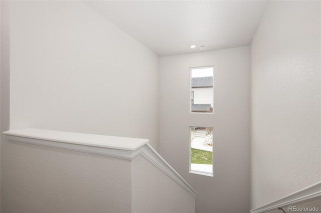 11228 Bella Vita Dr, Broomfield, CO 80020 - photo 21
