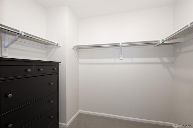 11228 Bella Vita Dr, Broomfield, CO 80020 - photo 27