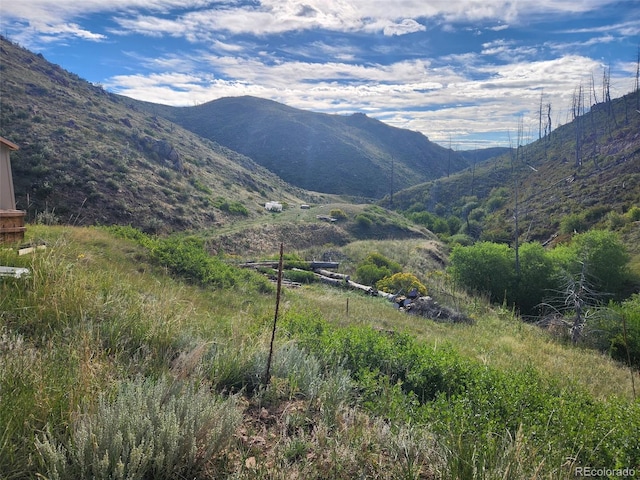 173 Grays Peak Ct, Livermore, CO 80536