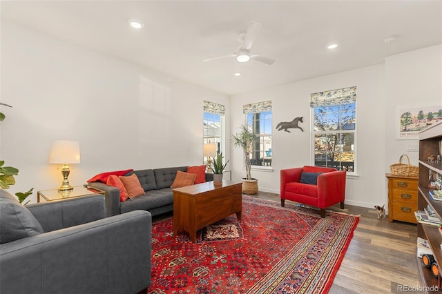 living room with ceiling fan and hardwood / wood-style flooring