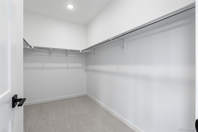 spacious closet featuring light carpet