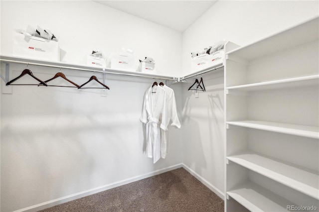 3379 N Denali St, Aurora, CO 80019 - photo 22