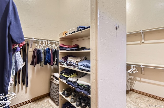 walk in closet with carpet floors