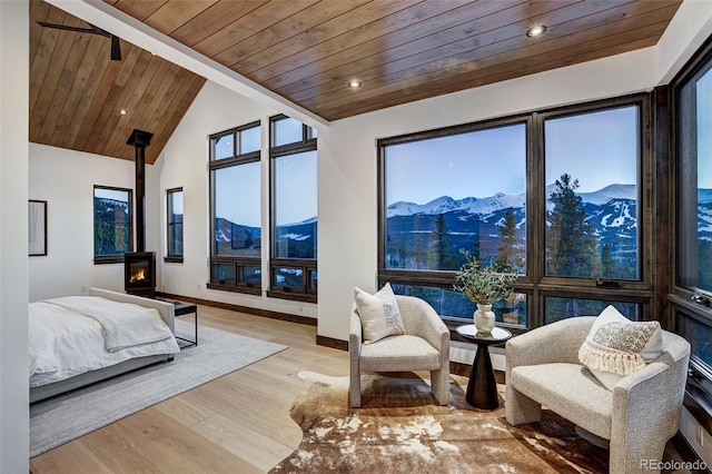2300 Boreas Pass Rd, Breckenridge, CO 80424 - photo 12