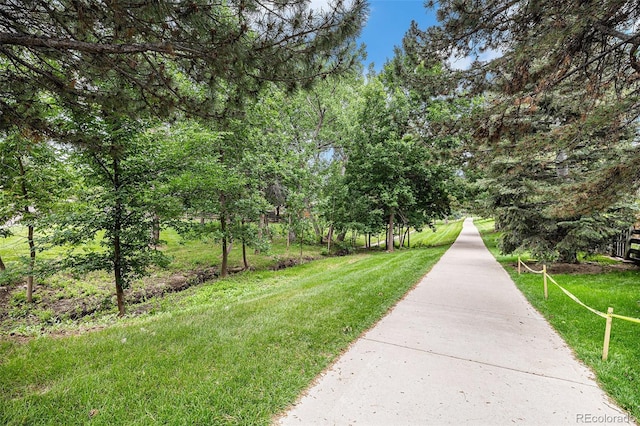 11022 Trailrider Pass, Littleton, CO 80127 - photo 43