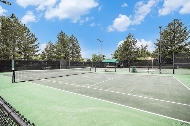 11022 Trailrider Pass, Littleton, CO 80127 - photo 46