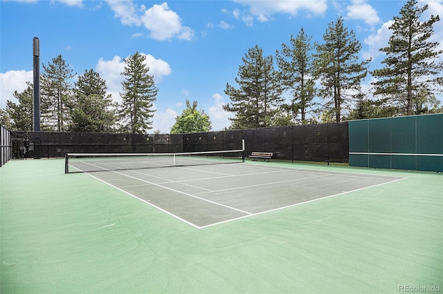 11022 Trailrider Pass, Littleton, CO 80127 - photo 47