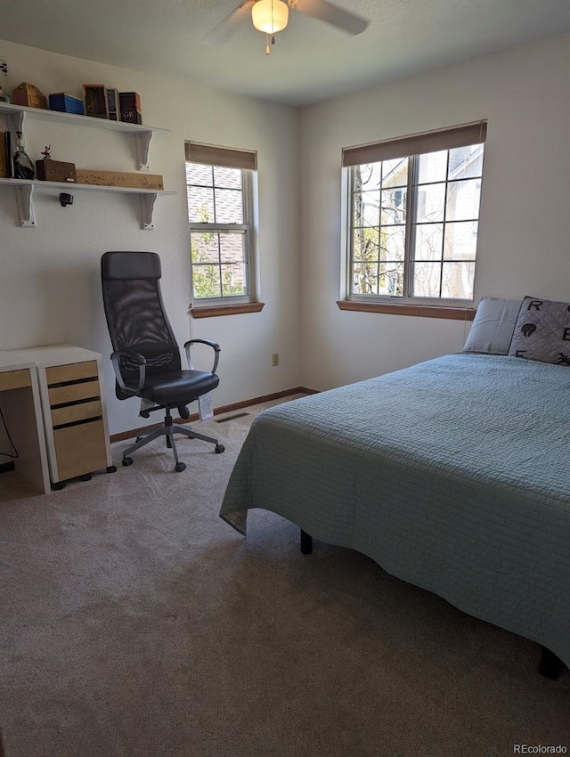21734 Farmingdale Ct, Parker, CO 80138 - photo 18
