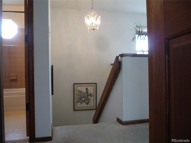 21734 Farmingdale Ct, Parker, CO 80138 - photo 20