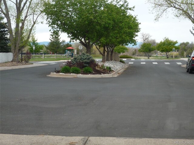 21734 Farmingdale Ct, Parker, CO 80138 - photo 26