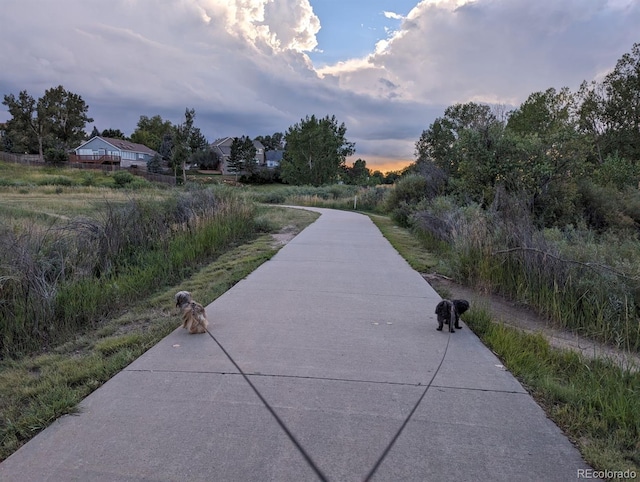21734 Farmingdale Ct, Parker, CO 80138 - photo 35