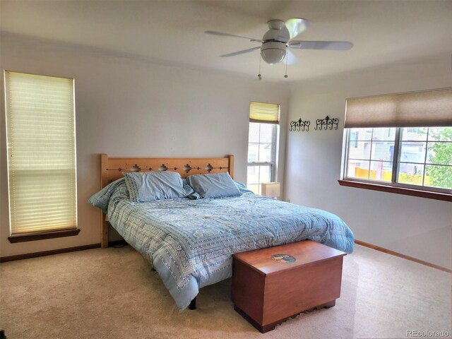 21734 Farmingdale Ct, Parker, CO 80138 - photo 15