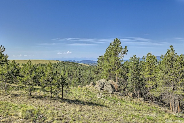 view of mountain feature