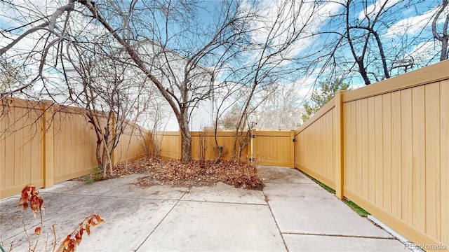 view of yard with a patio, a fenced backyard, and a gate