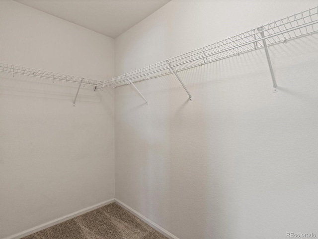 11082 Fillmore Way, Northglenn, CO 80233 - walk in closet with carpet floors