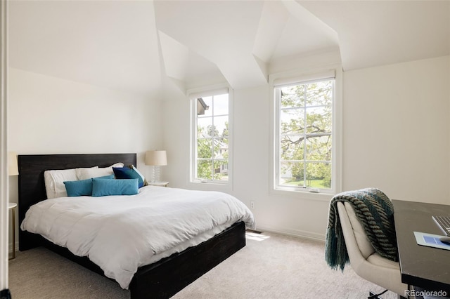 301 Fairfax St, Denver, CO 80220 - bedroom featuring lofted ceiling, multiple windows, carpet flooring, and baseboards