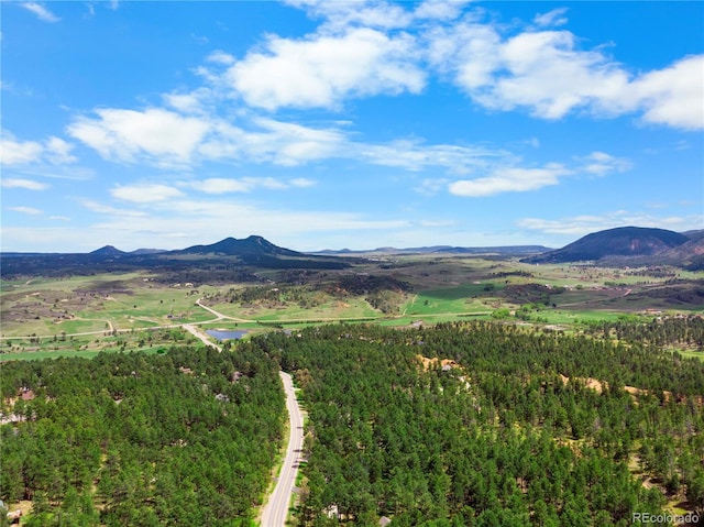 4515 Red Rock Dr, Larkspur, CO 80118 - view of mountain background
