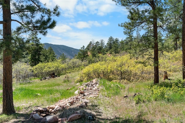 4515 Red Rock Dr, Larkspur, CO 80118 - mountain view featuring a forest