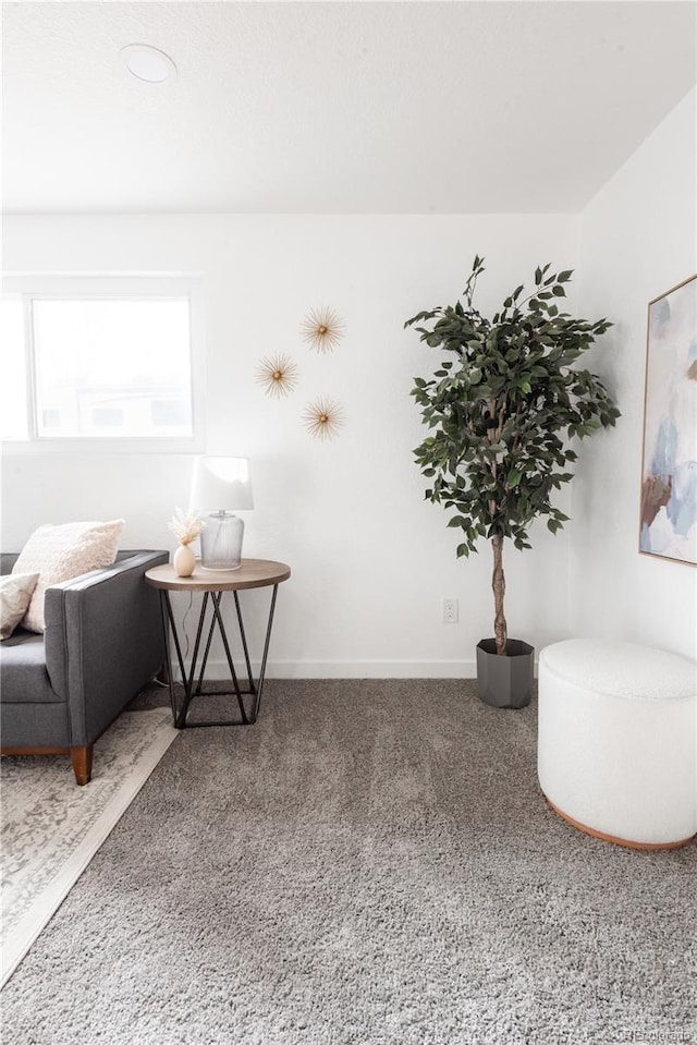 sitting room with carpet flooring