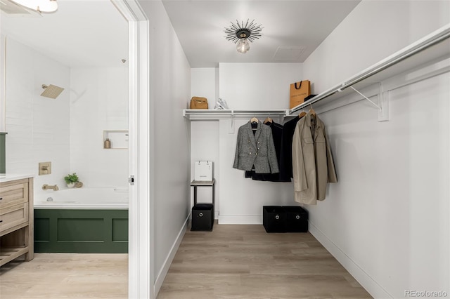 spacious closet featuring light hardwood / wood-style flooring