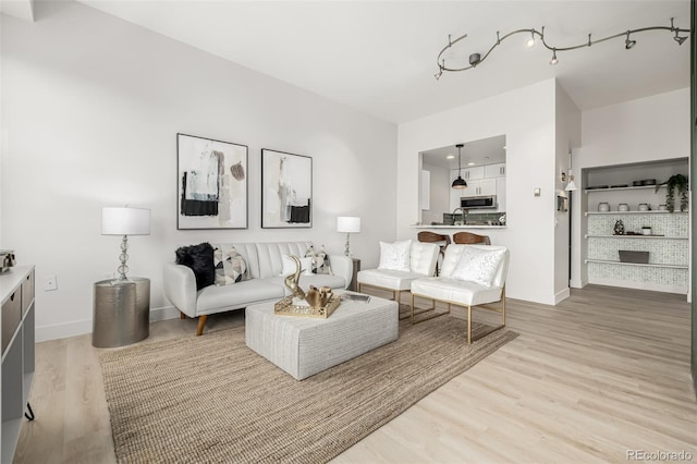 living room featuring light hardwood / wood-style flooring