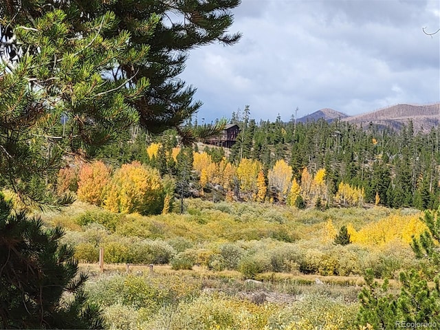 property view of mountains with a wooded view