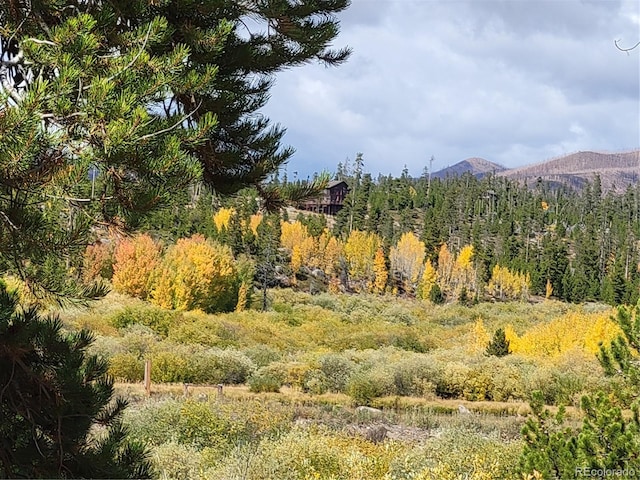 view of mountain feature