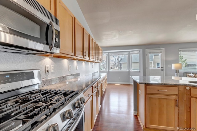 2132 Boise Ct, Longmont, CO 80504 - kitchen featuring stainless steel appliances, wood finished floors, plenty of natural light, and stone counters