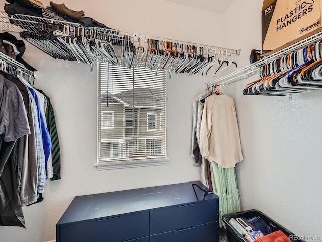 9363 Amison Cir Unit 106, Parker, CO 80134 - view of walk in closet