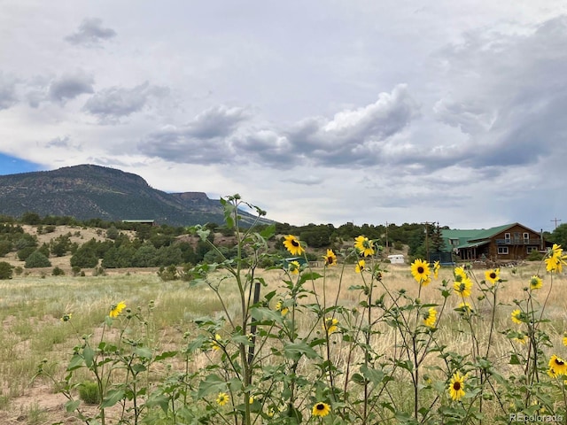 100 Mica Rd, South Fork, CO 81154 - photo 14