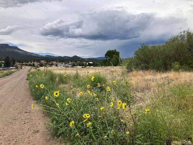 100 Mica Rd, South Fork, CO 81154 - photo 16